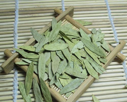 番泻叶是什么树？了解它的功效与注意事项！（从树种到药用，了解番泻叶的全貌！）