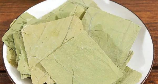 荷叶泡水喝的功效与作用（荷叶水的制作方法与注意事项）