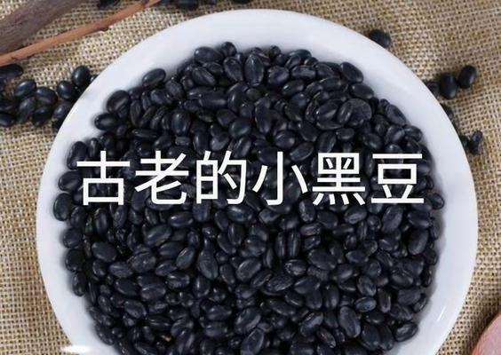 黑豆种植教程（黑豆可以种在土里吗？如何种植黑豆？）