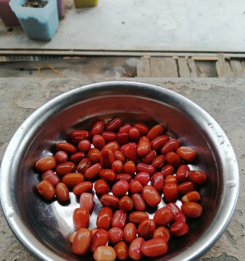 红豆种植间距是多少？（红豆种植间距的选择与注意事项）
