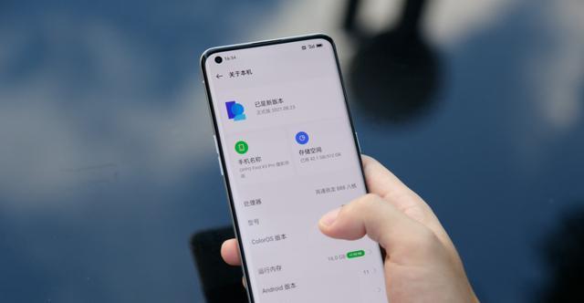 建兰的生长习性特点及环境条件要求（探究建兰生长的优势与限制）