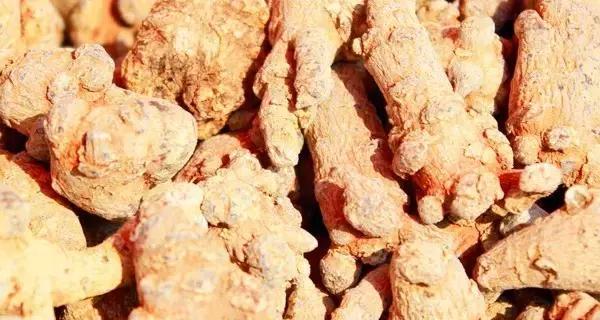 三七——中药材的明珠（应用范围广、疗效显著、安全无忧）