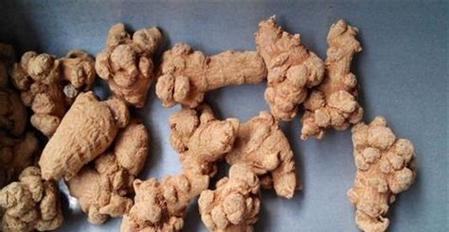 探秘三七的神奇之处（了解三七的外形、栽培和药用价值）