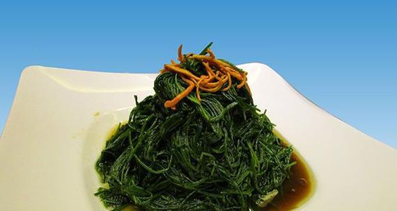 探究沙葱的神奇功效与食用方法（健康美味的蔬菜——沙葱）