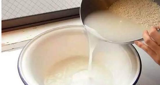 淘米水可以浇花吗？正确的浇水方法（如何利用淘米水为花草提供营养）