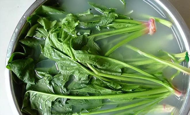 淘米水的神奇用途——浇灌青菜（让废弃变有用，减少环境污染，提高菜品质）