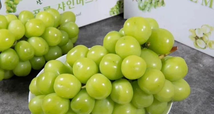 提子的储存方法，你掌握了吗？（能否放冰箱？让我们一探究竟！）
