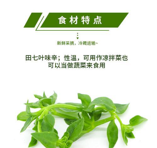 田七的生长环境及特点（探寻田七的生长条件与习性）