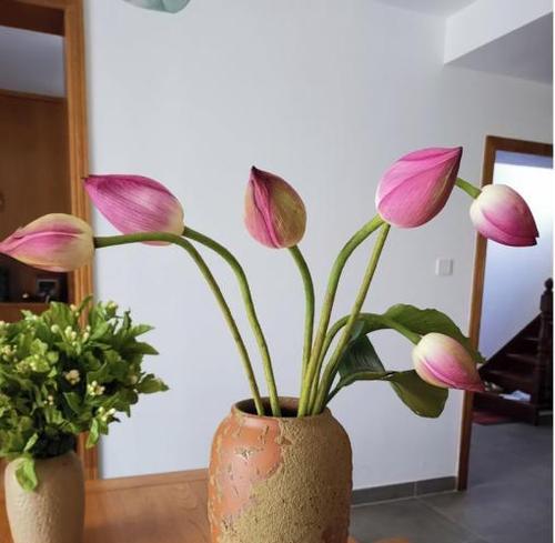 盐水可以浇花吗？（掌握正确的浇花方法，让盐水不再成为杀手）