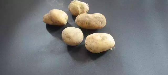 如何保存洋芋不发芽？（从选购到存储，全方位保护洋芋的质量）