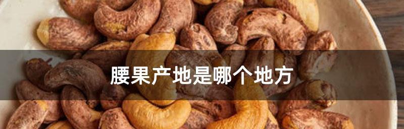 腰果的生长环境与特点（探秘腰果长在什么地方、腰果的形态特征、腰果的生长需求）