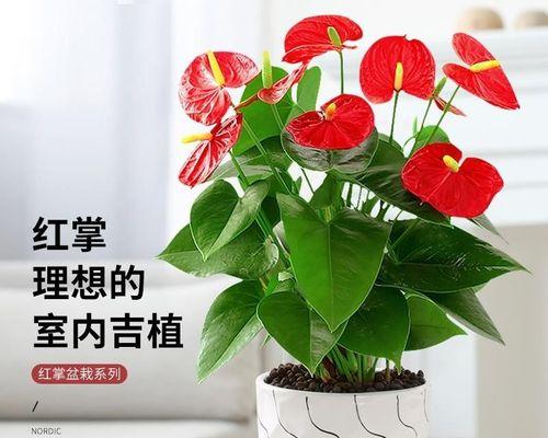 以优质水源养护一帆风顺（养水之本，建设健康生活）