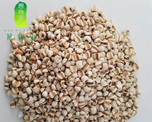 草珠子与薏米仁的区别（了解草珠子和薏米仁的特点及功效）