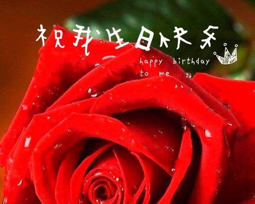 嫂子生日送什么花好？（15种花束推荐！）