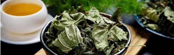 探秘桑叶的药用价值（从食疗到药膳，桑叶的神奇功效全揭秘）