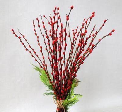 春节花卉销售大盘点（探寻春节畅销花卉，献给您一场视觉盛宴）