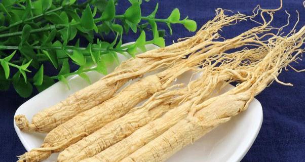 白参的功效与作用及食用方法（探秘白参的神奇功效，为健康保驾护航）