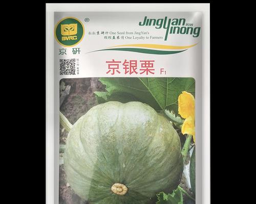 南瓜种子的收集与保存（保留南瓜种子，打造自己的花园）
