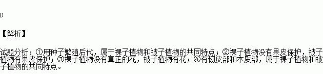 菜豆种子的分类探究（揭秘菜豆种子是否为裸子植物）