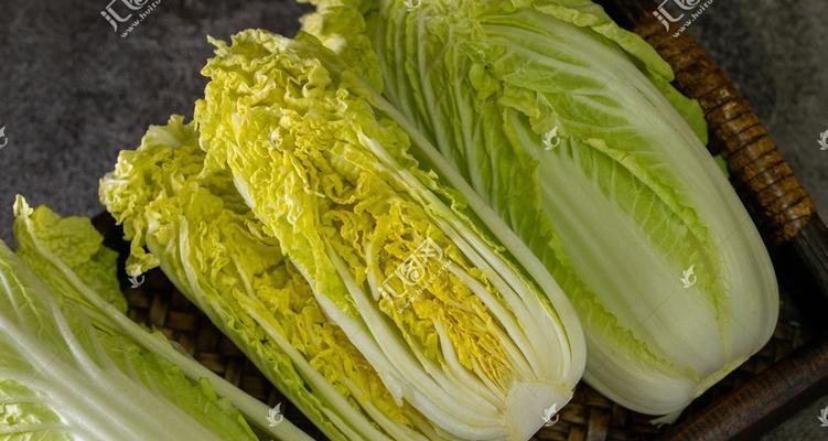 娃娃菜的品种及营养价值（探索娃娃菜的生长环境及食用方法，让您健康饮食无忧）