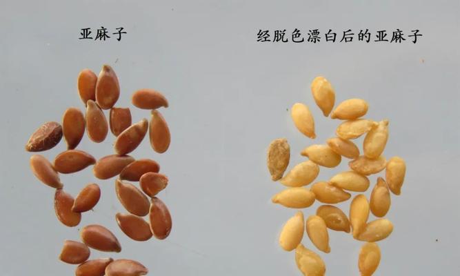 探秘什么是柏子仁（了解柏子仁的来源、特点和药用价值）