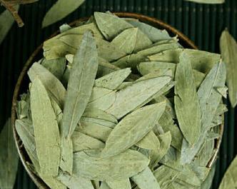 探寻泻叶之谜（揭秘泻叶植物的叶子特征及药用价值）