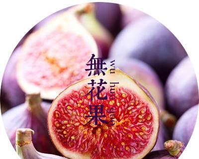 无花果根的功效与作用及食用方法（探究无花果根的药用价值和食用技巧，了解它给身体带来的益处）