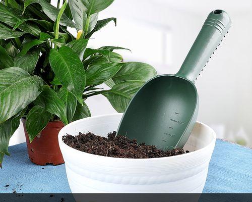猫砂不再只是宠物用品，还能成为花卉生长的利器（解析猫砂可以用来种花的秘密，一步步教你如何使用）