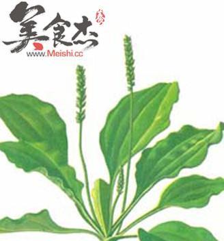 寻找最优质的车前子（从产地到品质，了解车前子的全貌）