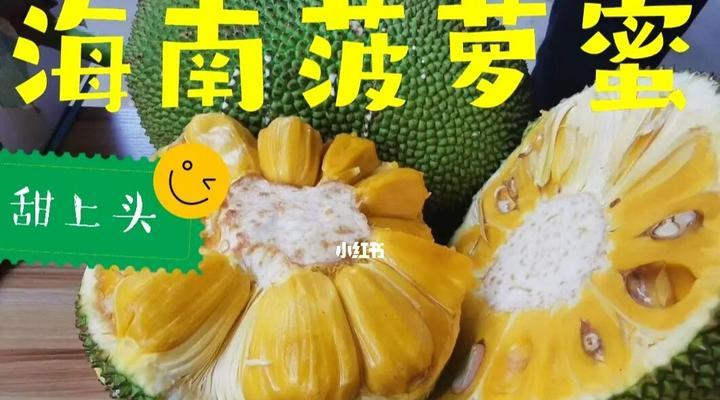 海南菠萝蜜什么时候成熟上市？什么是海南菠萝蜜？