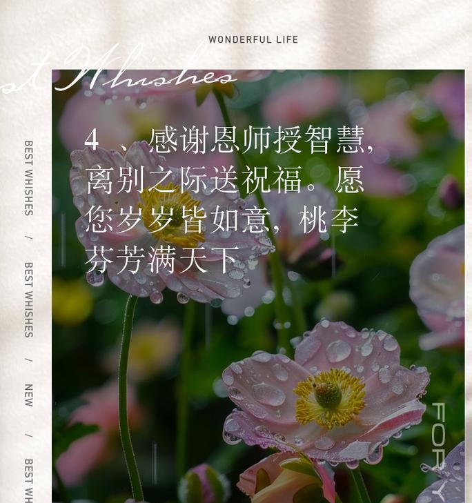 离别送花，送别之情（送什么花合适？如何表达心意？）