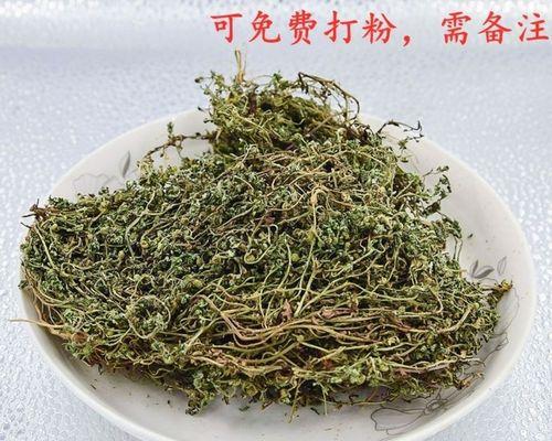 鹅的食性之谜（解析鹅的食性特点及其生态适应能力）