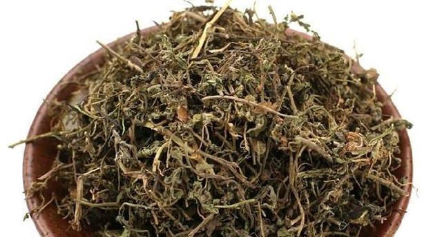 农村鹅不食草的现象（揭秘农村鹅只吃蛋白质的原因）