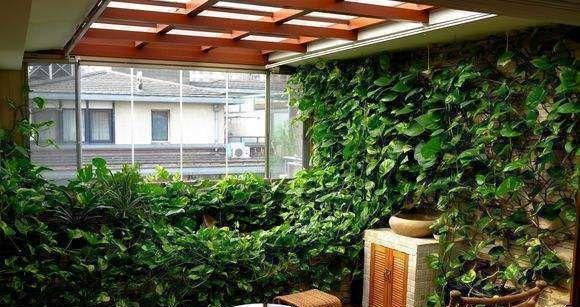抽油烟机油能否作为植物养料？（探究抽油烟机油的肥料效果和安全性）