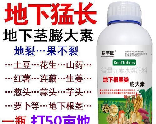 揭秘红薯（红薯的分类和特点）