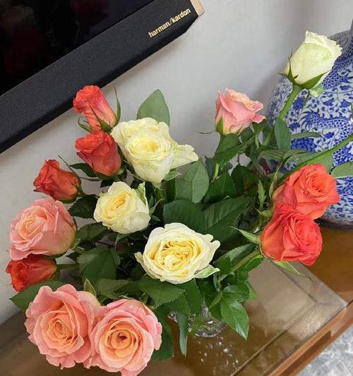 尤加利叶怎么醒花？（教你科学醒花的方法，让尤加利叶早日绽放。）