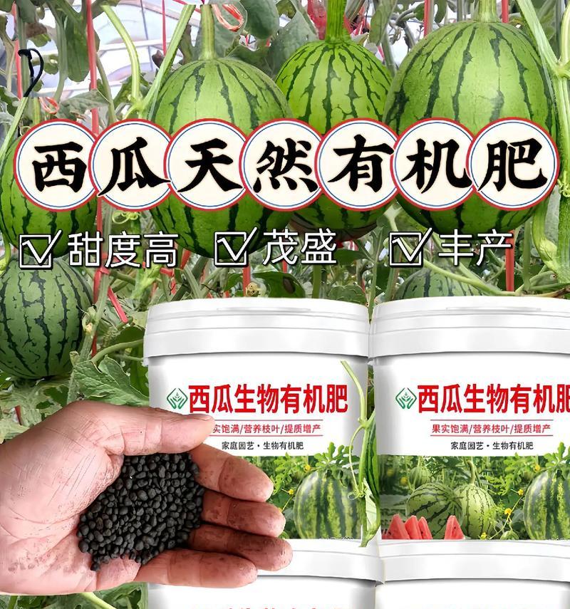 西瓜追肥不可错过！（选择什么肥料更好？）