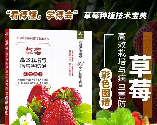 火龙果繁殖技巧详解（从种子到扦插，全方位了解繁殖火龙果）