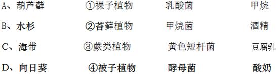 葫芦藓的分类与特点（探究葫芦藓的裸子植物属性）