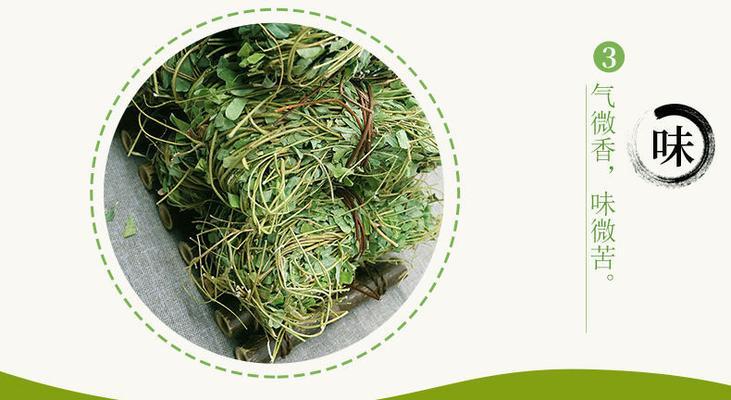 鸡骨草——一种药食兼备的神奇植物（别名、形态特征、药用功效及适宜人群，你都知道吗？）