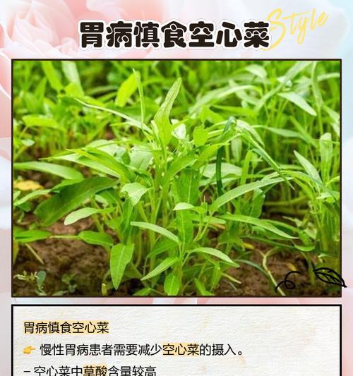 怎样选购新鲜可口的空心菜？（一手掌握，轻松选购秘籍）