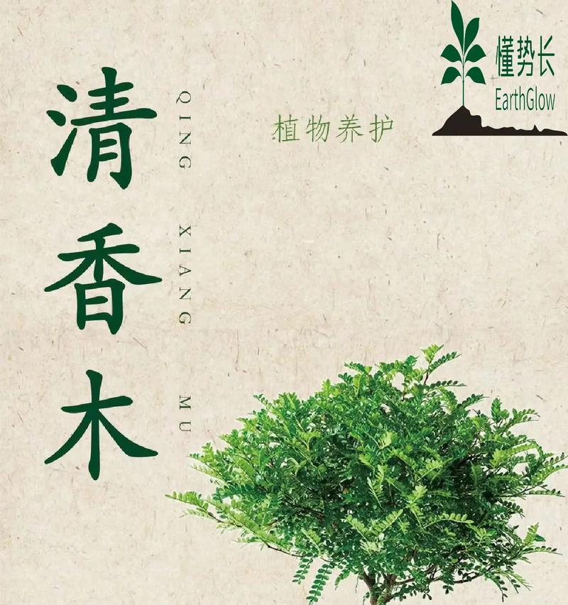 清香木冬天为何掉叶子（探究清香木的冬季叶落现象）