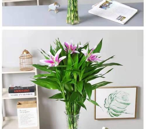 百合花（了解百合花对空气质量的改善和保护健康的重要性）