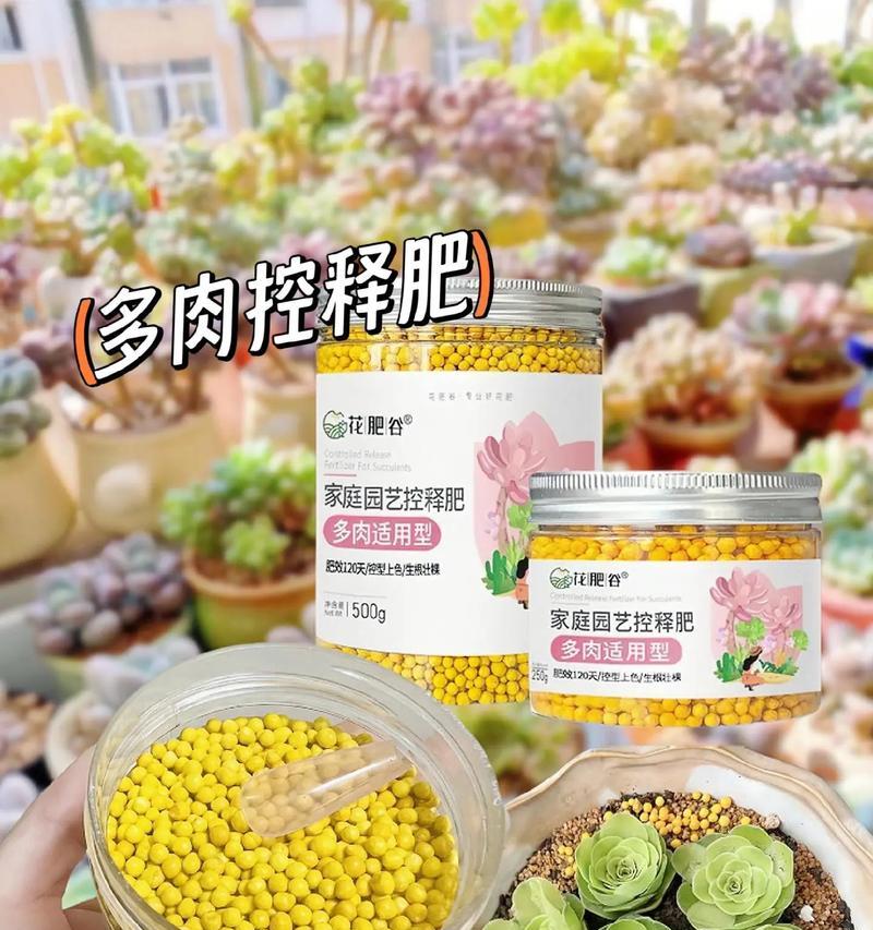 多肉植物的光照需求剖析（多肉植物是否能晒太阳？如何科学合理地给多肉植物提供光照？）