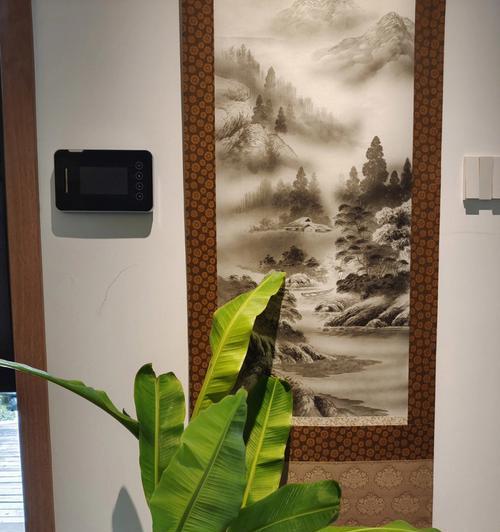 如何正确养护芭蕉（从选植到养护，让芭蕉健康生长）