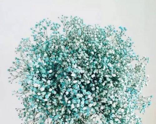 35朵玫瑰的花语是什么？（揭秘35朵玫瑰代表的花语及象征意义）