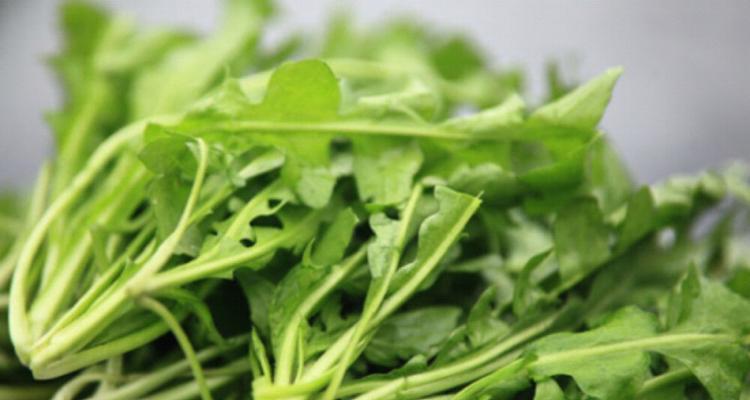 探秘地菜的别名和营养价值（地菜，一种被低估的野菜）