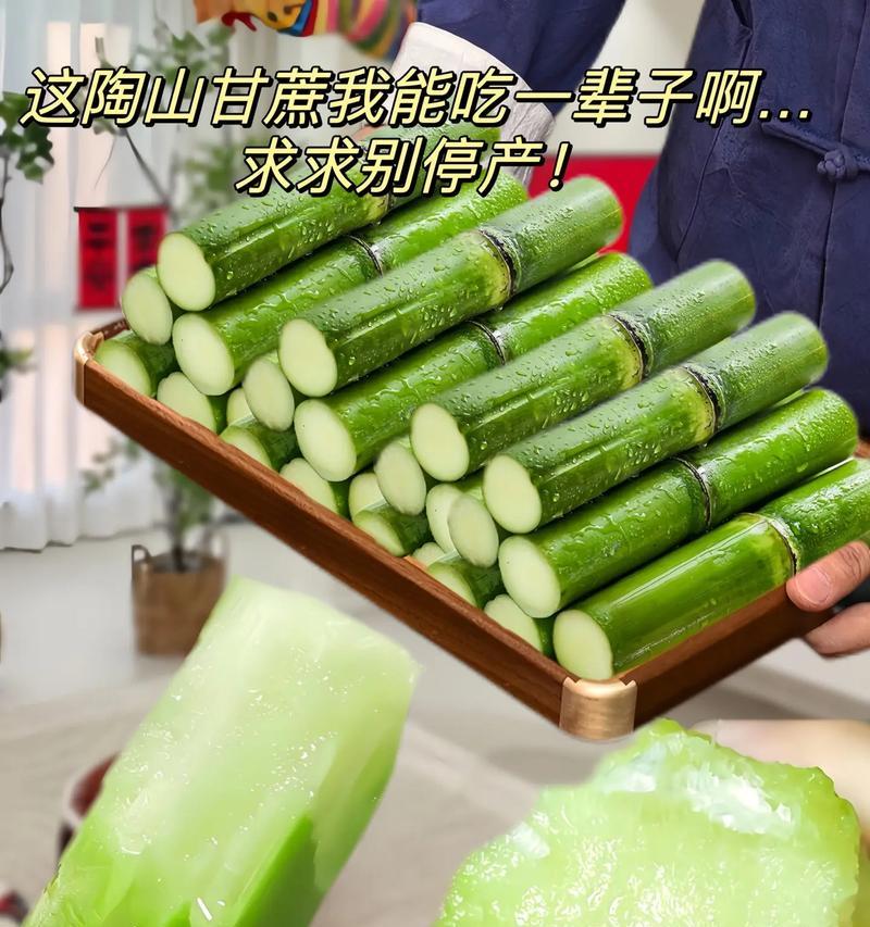 甘蔗（探究甘蔗的分类学归属以及营养价值）