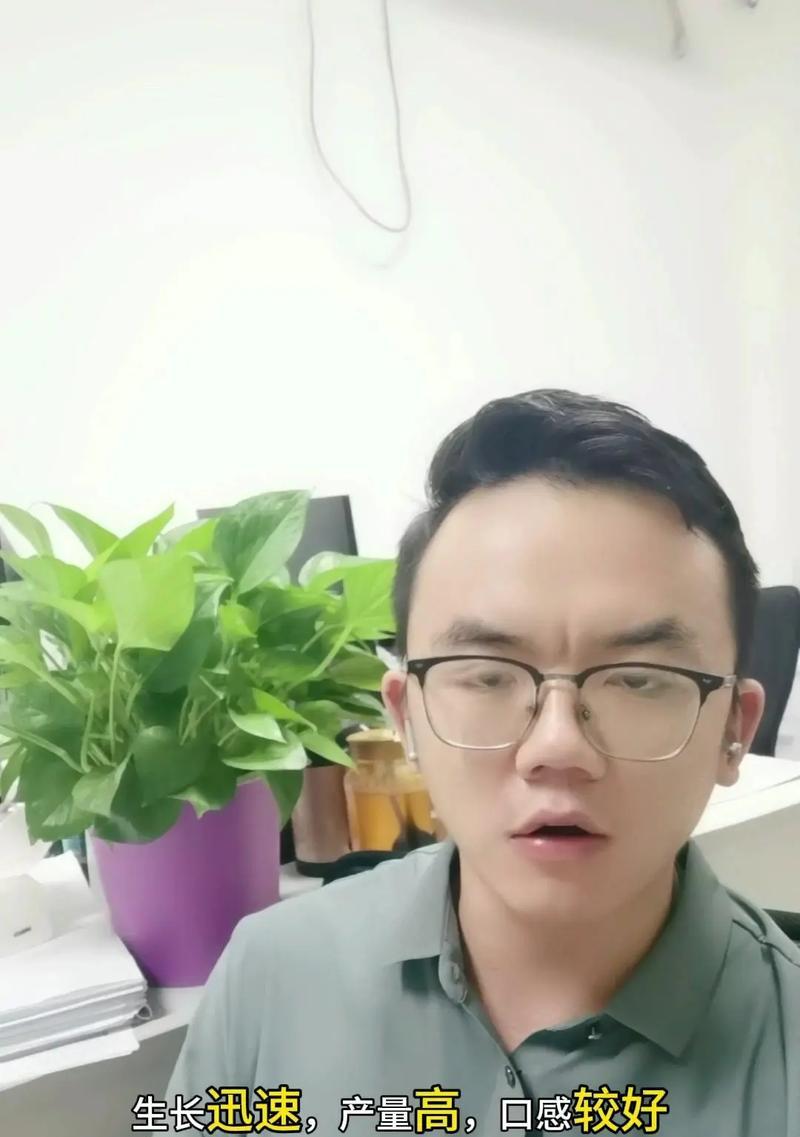 掌握辣椒种植时间和生长周期（一步步教你种出丰收的辣椒庄园）