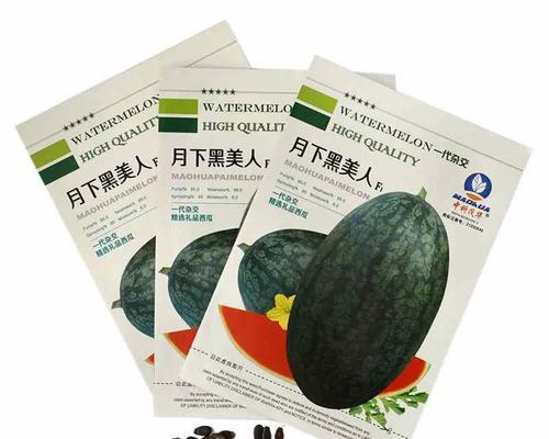 黑美人西瓜的种植要点（选择适宜的种植时间和地点，打造高产、高质的西瓜）